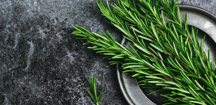 Ako želite poboljšati pamćenje koristite ovu mirisnu biljku