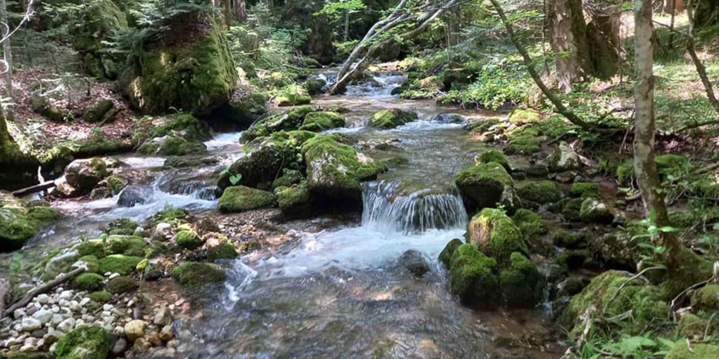 Hrasnički potok