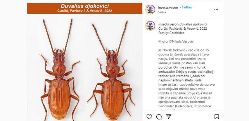 nova vrsta insekta