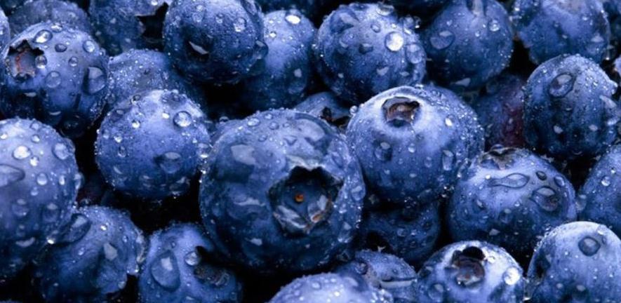 Namirnice koje pomažu kod smanjenja upala