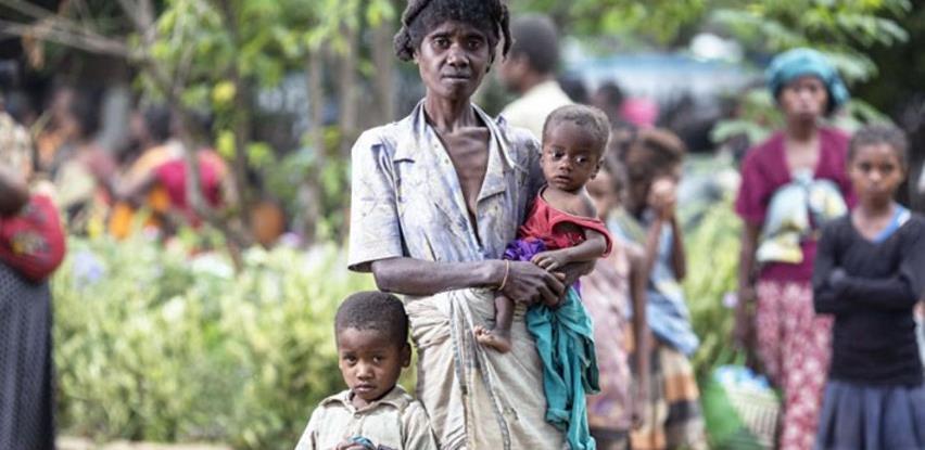 Madagaskar na rubu gladi, stanovnici prisiljeni jesti skakavce i kaktuse