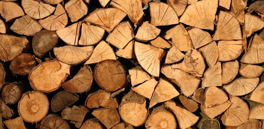 Rast proizvodnje i prodaje šumskih sortimenata u RS