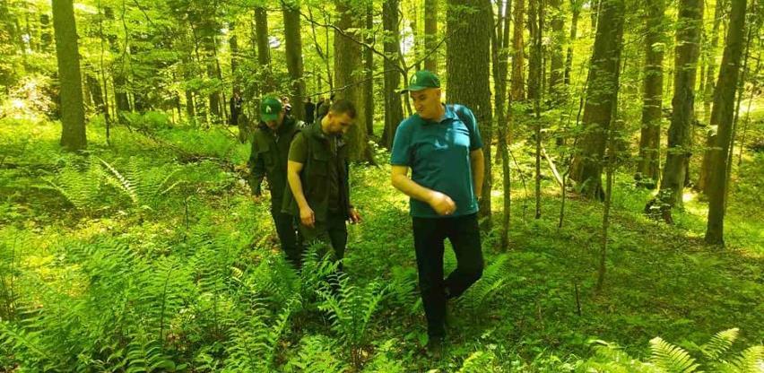 Jedina BiH prašuma obiluje biodiverzitetom, ipak na samom smo dnu evropskih zaštićenih područja