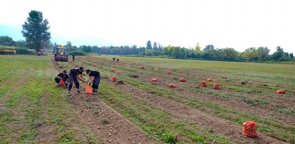 Općina Novi Grad raspisala javni poziv za korištenje zemljišta u državnoj svojini