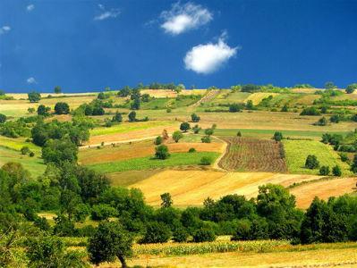 Stepen razvoja ruralnog sektora u BiH