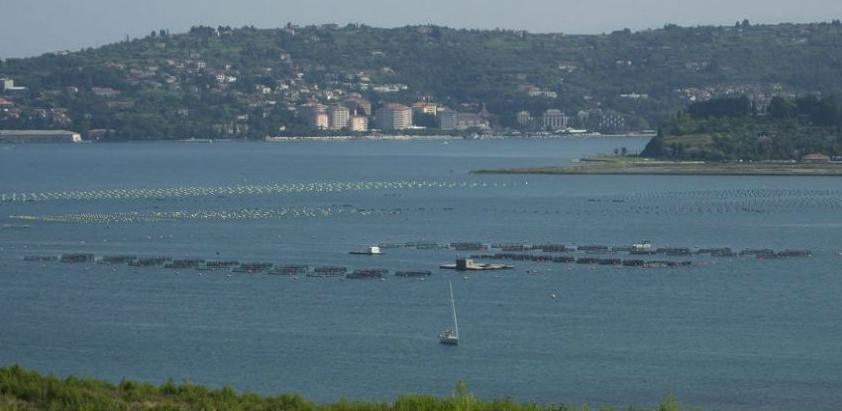Slovenija u subotu počinje jednostrano provoditi arbitražnu odluku