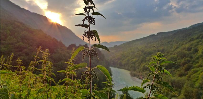 Otvoren poziv: 90.000 eura za prekogranični region Drina-Tara, Drina-Sava i Krš