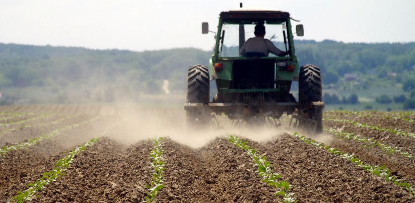 Poljoprivredno zemljište ide u zakup, uskoro i javni oglas