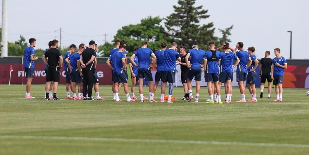 NFSBiH