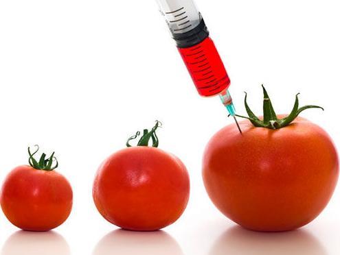 Na GMO pozitivno 67 odsto uzoraka!
