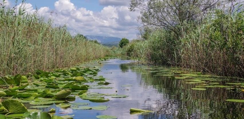 Danas je Svjetski dan močvara
