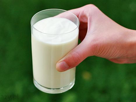 Jogurt dva puta na dan tjera depresiju i utječe na mozak