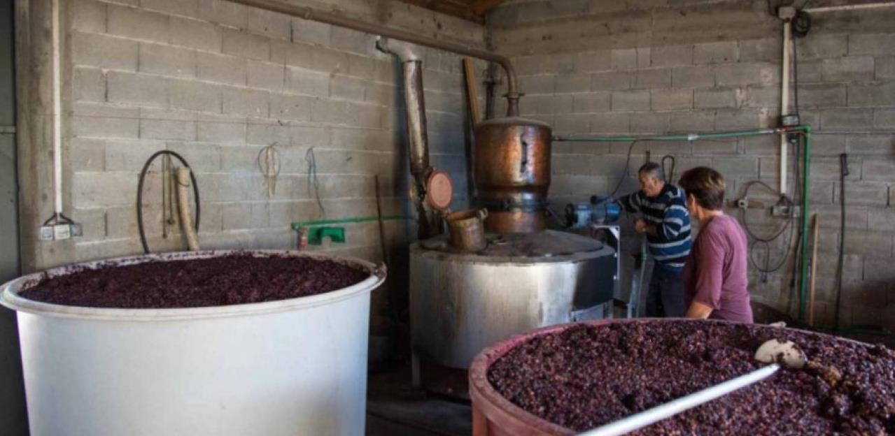 Uspješna priča o agroturizmu hercegovačke obitelji Sušac