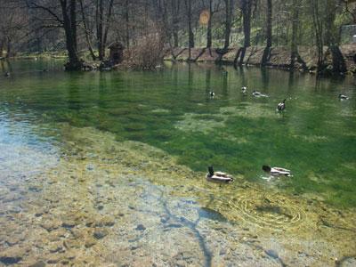 Na Vrelu Bosne od septembra naplata ulaza, uskoro i električni voz