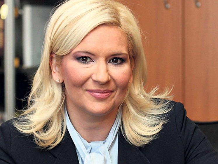 Mihajlović: Stekli se uslovi za gradnju tri dionice Južnog toka
