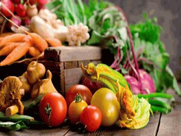 U Kladnju besplatna edukacija i radionica o organskom uzgoju