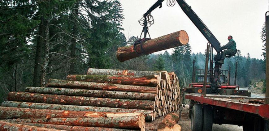 PKFBiH: Što prije uraditi kriterij za raspodjelu sirovine drvoprerađivačima