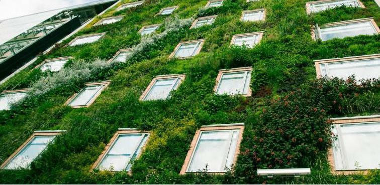 Malo firmi u BiH spremnih da rade zelenu fasadu u Sarajevu