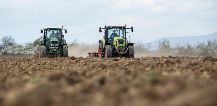 U Hercegovini očekuju urod od 1500 tona rajčice i 700 tona paprike