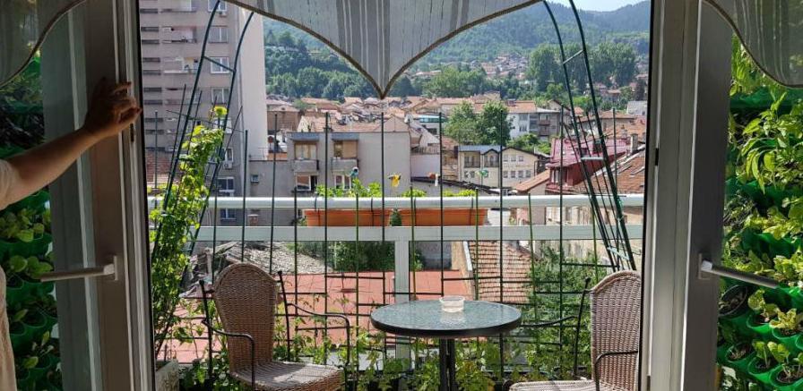 Općina Novi Grad organizira prezentaciju projekta "Urbana poljoprivreda"