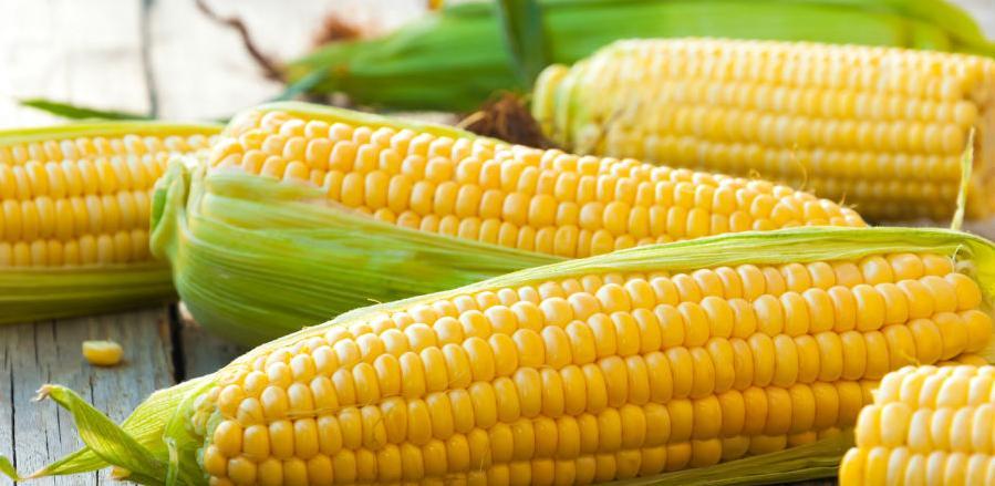 Studen Global SEE želi kupiti HPK-hemijska prerada kukuruza Draksenić