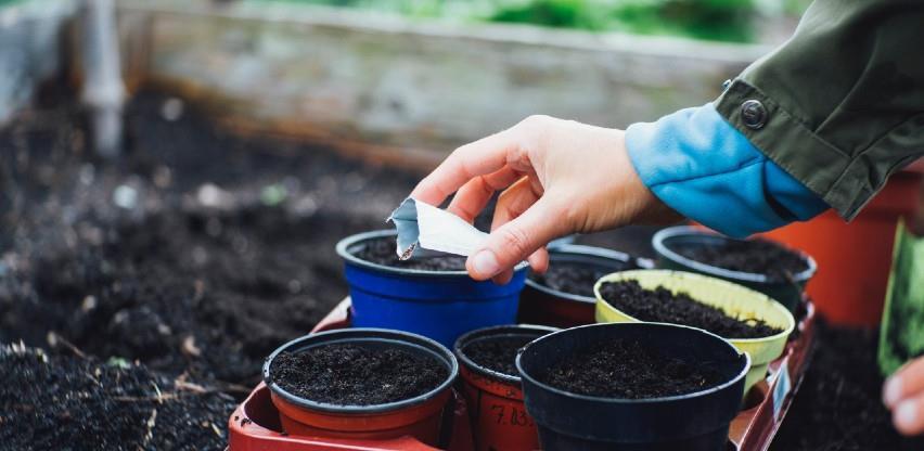 Proljetna sjetva skuplja i do 50 odsto