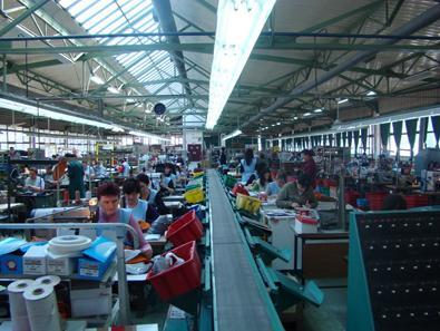 Glavobolja za rukovodstvo fabrike Bema: Jovandan je slavila trećina radnica
