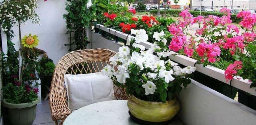 Radionica iz oblasti hortikulturnog uređenja balkona, dvorišta i ulaza