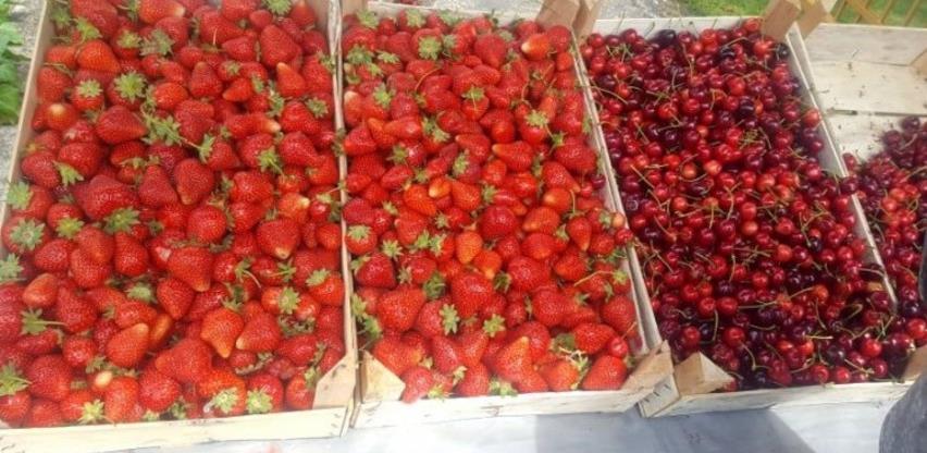 Jagode iz Čelića ove godine samo za domaće tržište