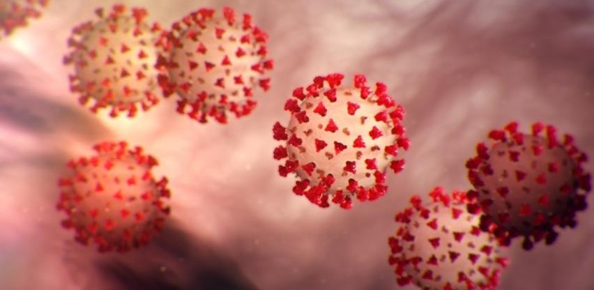 Slovenski lingvisti rade na "koronaječnika"