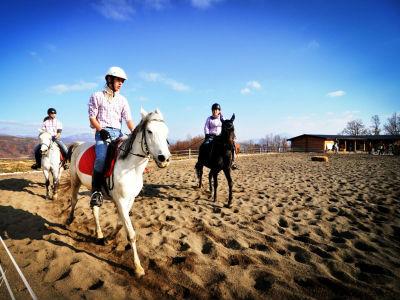 Sezona dresurnog jahanja završava u subotu takmičenjem Pegasos Fall 2014