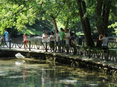 Općina Ilidža: Parcela u blizini Vrela Bosne prodata prema zakonu?