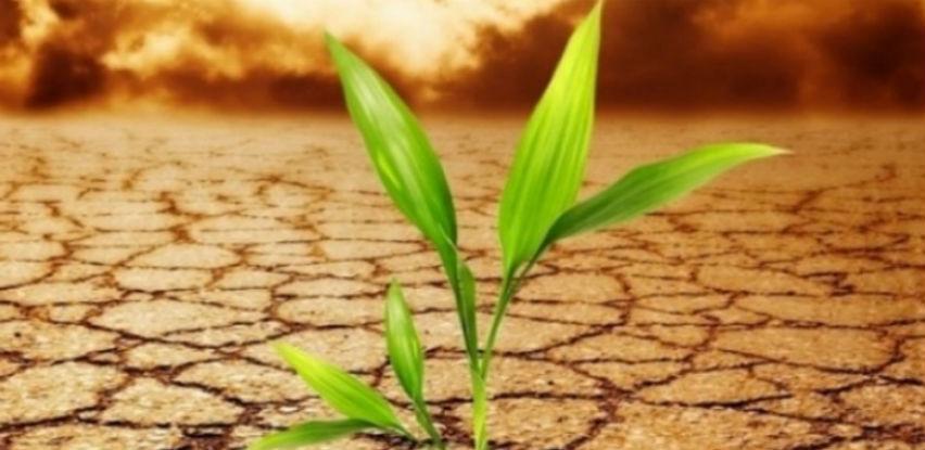 Koje zemlje će "preživjeti" klimatske promjene?