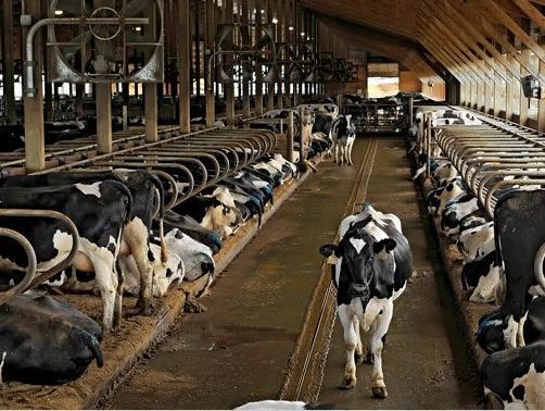 Obučeno 60 farmera za iskorištavanje stajskog đubriva