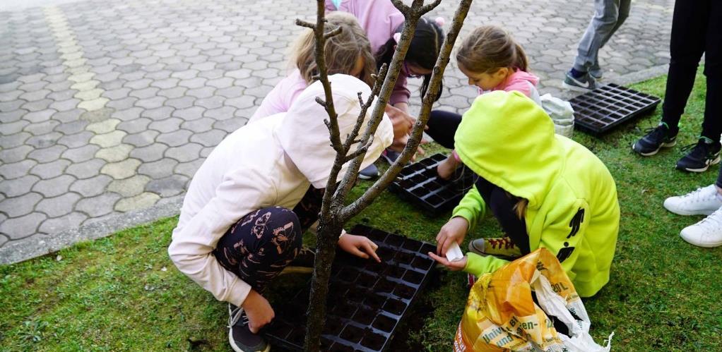 Igra u prirodi može zamijeniti mobitel i televizor (VIDEO)