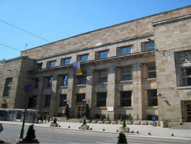 Vlasti trebaju iskoristiti investicioni potencijal naše dijaspore