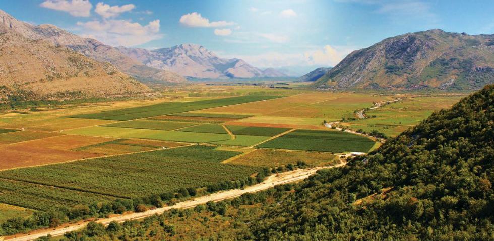 U Ravnom sajam poljoprivredih proizvoda 'Plodovi krša'