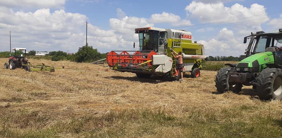 Žetva u Semberiji obavljena na oko 80 posto zasijanih površina