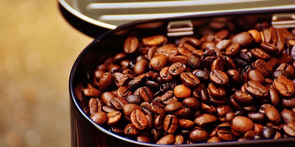 kafa
