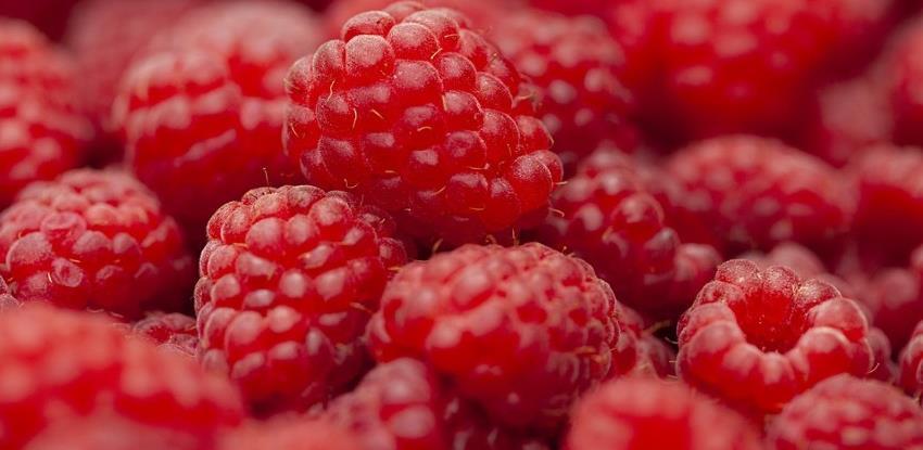 Maline dostižu nevjerovatnu cijenu: Otkup 6 KM po kilogramu