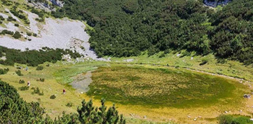 Lokvanjsko jezero, ukras Bjelašnice, nestaje pod barskim biljem