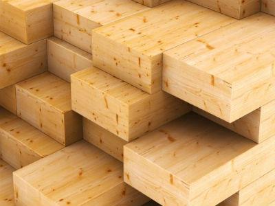 Radionica i stručno predavanje "Šumarstvo i prerada drva u budućnosti"