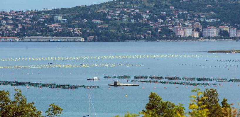 Hrvatski europarlamentarci očekivali podršku EK-a odluci arbitražnog suda