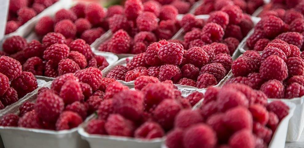 Otkazani Dani maline u Bratuncu, raspisan konkurs za izbor najboljeg uzgajivača