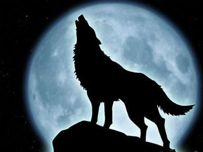 Oboren svjetski rekord u zavijanju na Mjesec