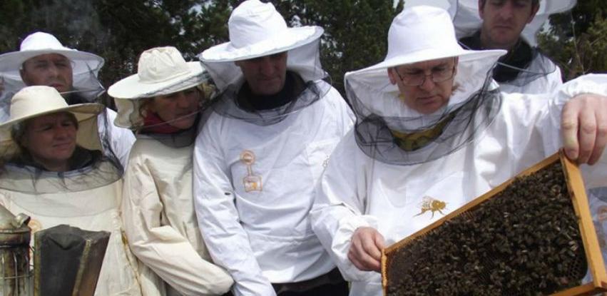 Loše vrijeme ugrozilo pčelarsku proizvodnju u USK: Med sve gorči