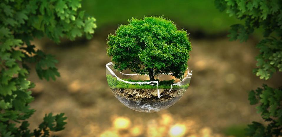 Ovo su firme koje će raditi na jačanju javne svijesti o značaju zaštite okoliša