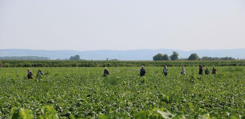 Po uzoru na Srbiju: Elektronski sistem za prijavu sezonaca moguća novina i u BiH