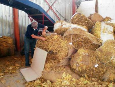 Na duhanu ubrano 485 miliona KM