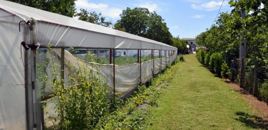 ZHŽ: Pola milijuna KM za biljnu i plasteničku proizvodnju